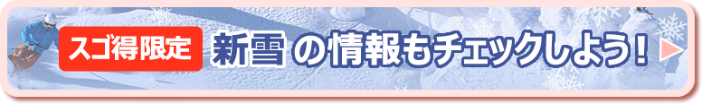 新雪の情報もチェックしよう！